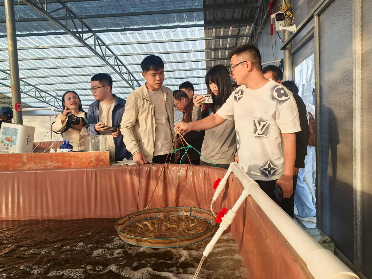 廣西北海：向海而興築牢“藍色糧倉”