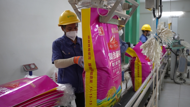 廣西興業：化肥企業生産忙 不誤農時保春耕_fororder_圖3 工人正在打包化肥 陳秋利攝 