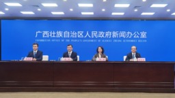 崇左市全年外貿進出口總額預計將達2700億元