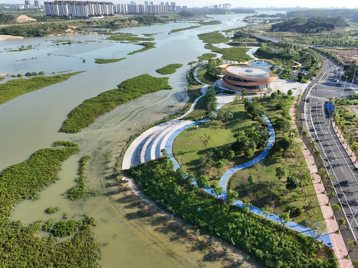 廣西欽州孔雀灣生態修復項目榮獲首屆聯合國“海洋十年”海洋生態保護修復大賽獎_fororder_2