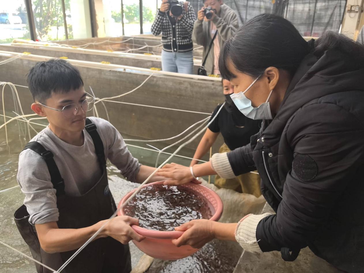 廣西北海：向海而興築牢“藍色糧倉”