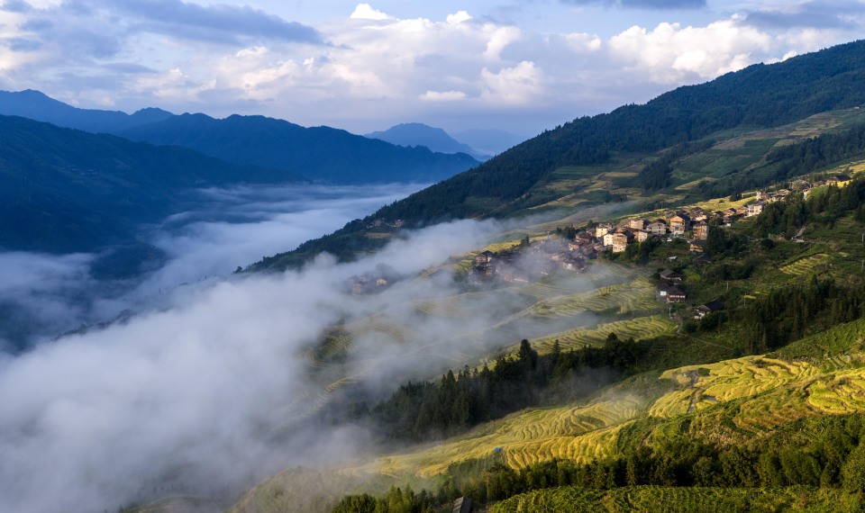 桂林龍脊梯田迎來最佳觀賞季 “金色海洋”成動人豐景_fororder_1