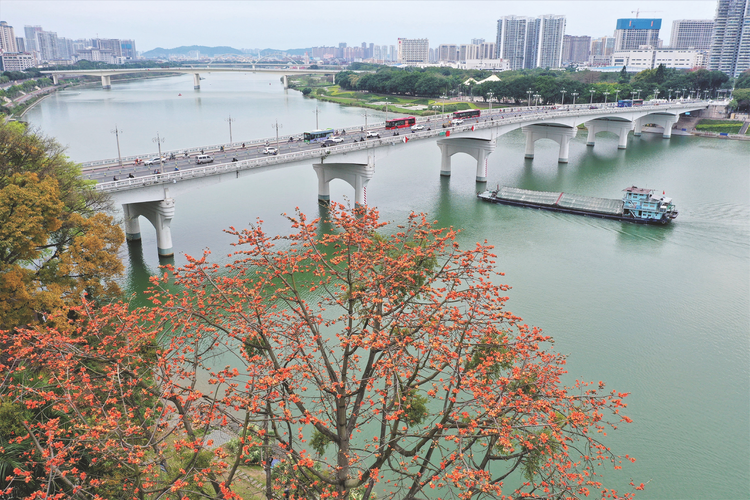 “南寧建造”持續跨越 一橋一景創“世界之最”