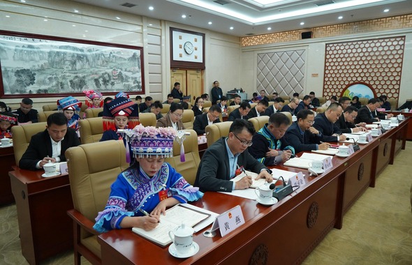 廣西人大代表分組審議政府工作報告