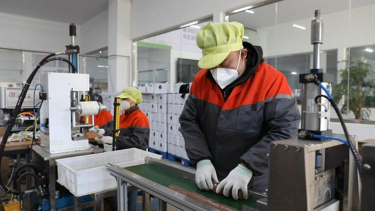 河北平泉：小松針做成大産業