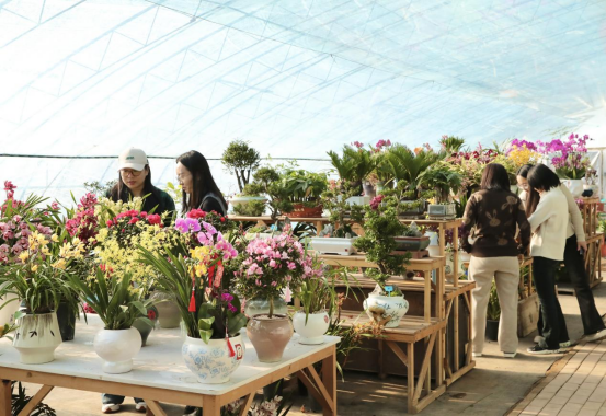 河北東光：新春將至年味濃 鮮花年貨採購忙