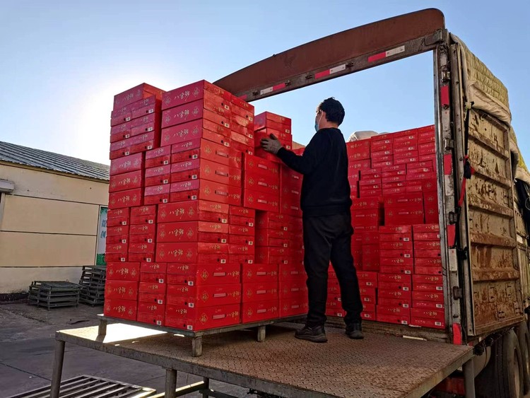 河北圍場：一企業為西藏地震災區捐贈3500箱八寶粥