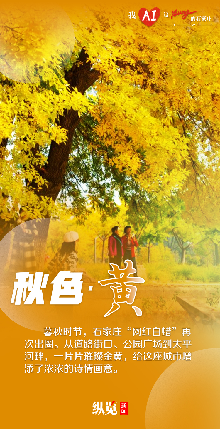 四季圖鑒，一起邂逅多彩石家莊