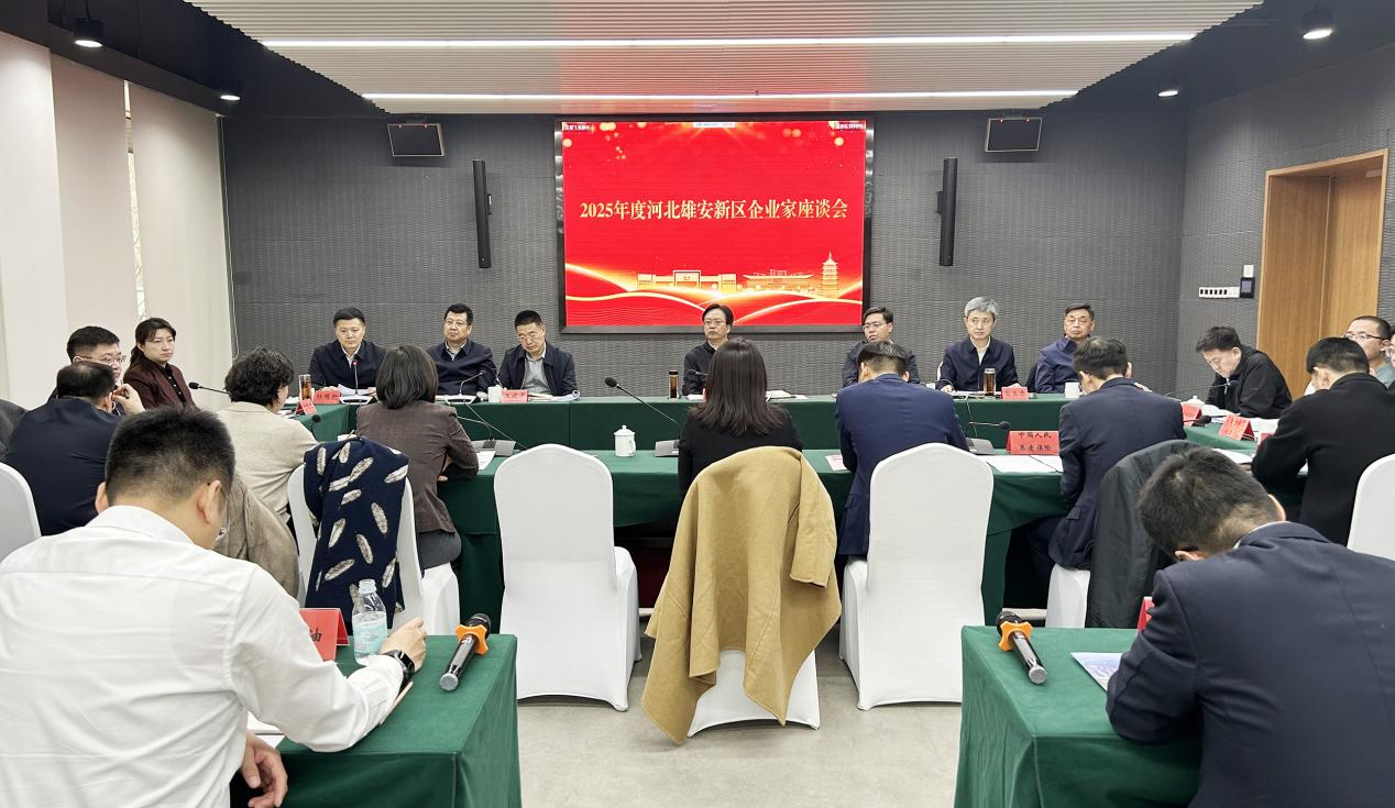 雄安新區組織召開“政企攜手 同向發力 共建‘未來之城’”企業家座談會_fororder_圖片1