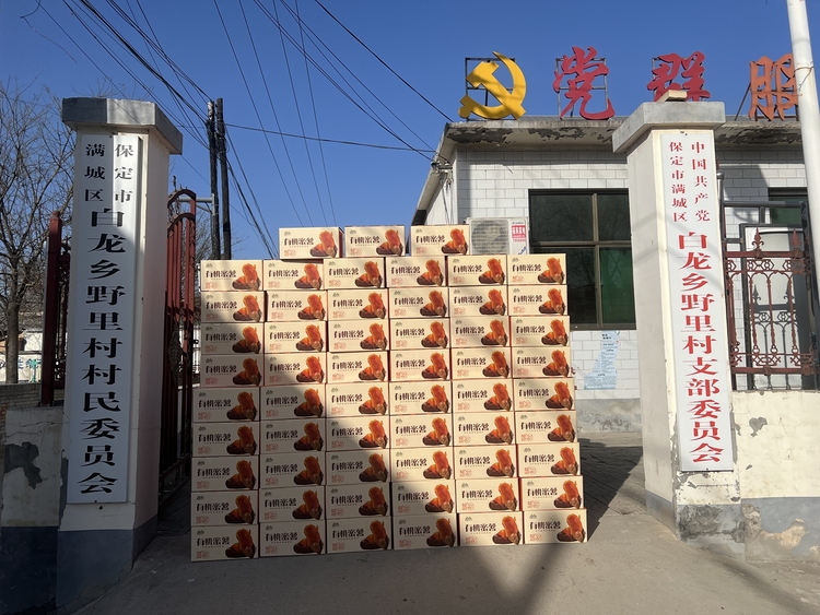 保定市滿城區：支部領辦合作社 強村富民新篇章