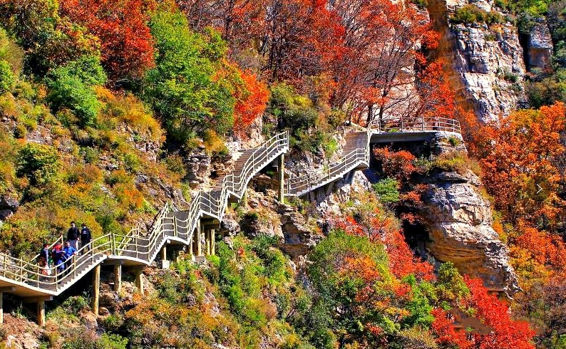 太行山把最濃烈的秋色留給了河北