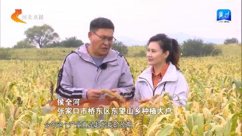 河北：“豐”光無限好 農業強“芯”促增産