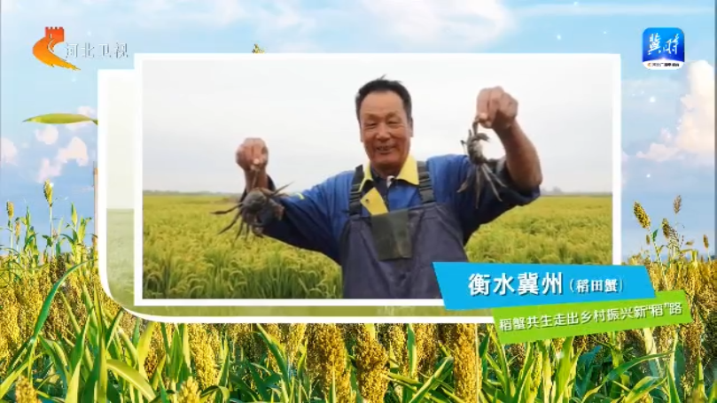 河北：“豐”光無限好 農業強“芯”促增産