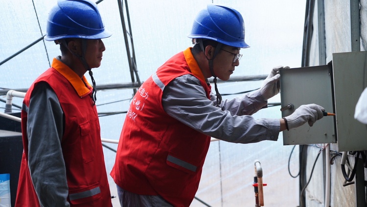 河北遷安：寒潮保電 護航農業生産