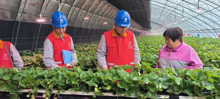 河北遷安：寒潮保電 護航農業生産
