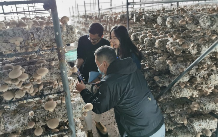 探訪現代農業基地 挖掘河北農業發展創新做法_fororder_IMG_20241017_121522
