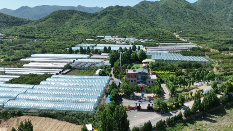 石家莊市鹿泉區山前大道:生態旅遊産業共融的幸福通途