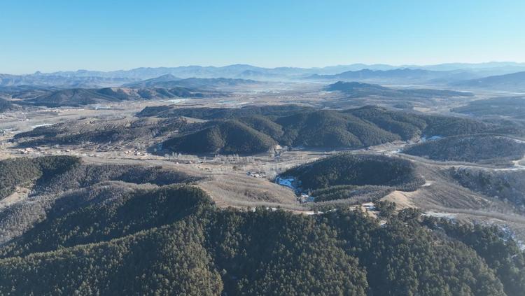 河北平泉：小松針做成大産業