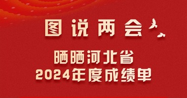 圖説兩會丨曬曬河北省2024年度成績單