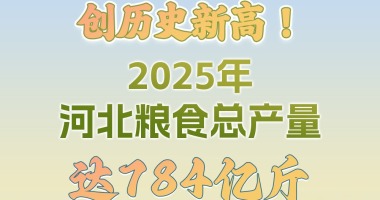 長圖·2025河北經濟數據解讀丨創歷史新高！2025年河北糧食總産量達784億斤