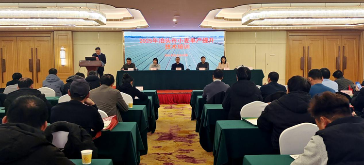 河北泊頭：小麥單産提升培訓賦能糧食安全新高度_fororder_圖片1