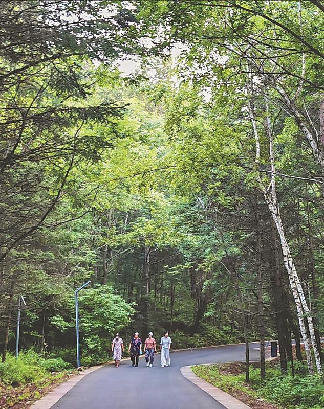 伊春：夏季旅遊的爆火密碼