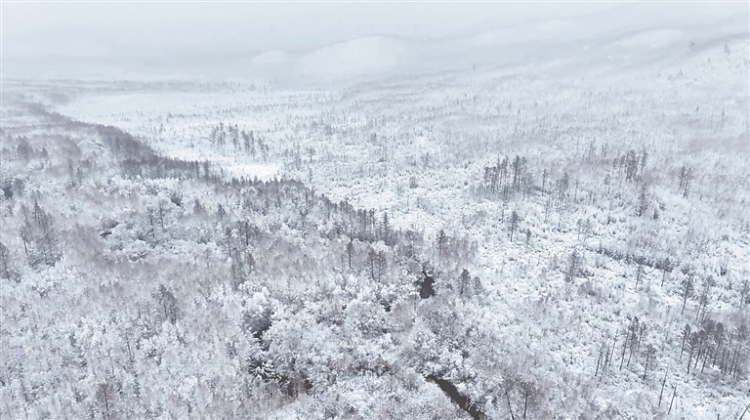 漠河雪春