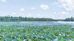 阿勒錦島國家濕地公園獲批省級重要濕地