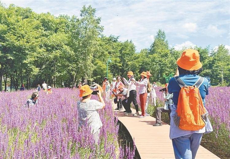 伊春：夏季旅遊的爆火密碼