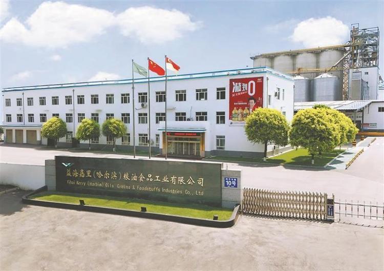 龍江厚植興業沃土 外商投資持續加碼