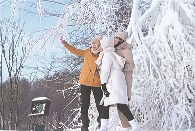 伊春：打造“森林版”冰雪“頂流”