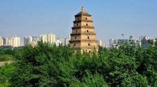 打卡古都西安的文化地標——大雁塔