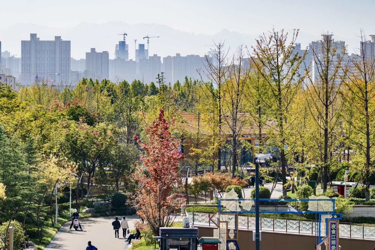 最美的秋丨舒展幸福畫卷 一覽新城秋景