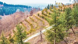 西安推進“山水工程”重塑秦嶺自然底色