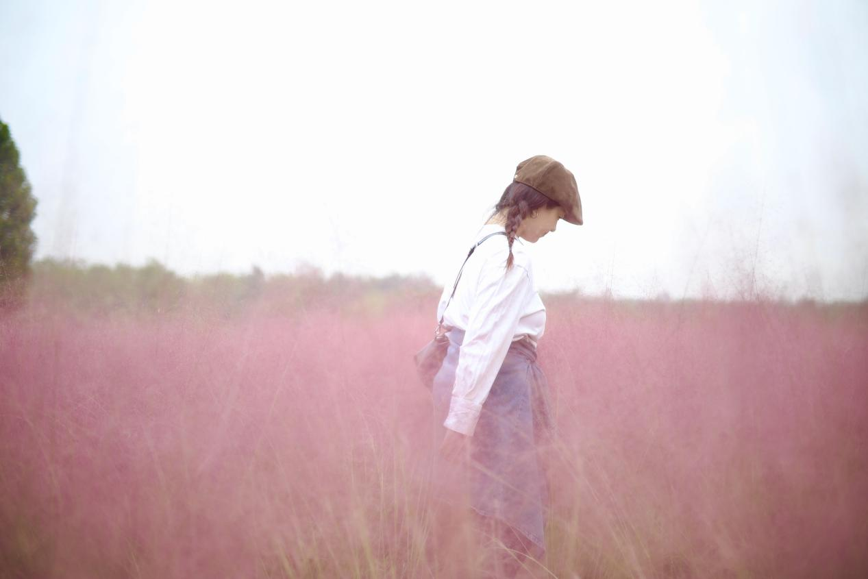 最美的秋丨快來西安高新區打卡粉黛亂子草  邂逅一場秋天的童話