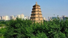 打卡古都西安的文化地標——大雁塔