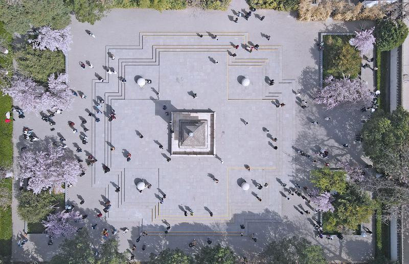 青龍寺賞櫻人潮涌
