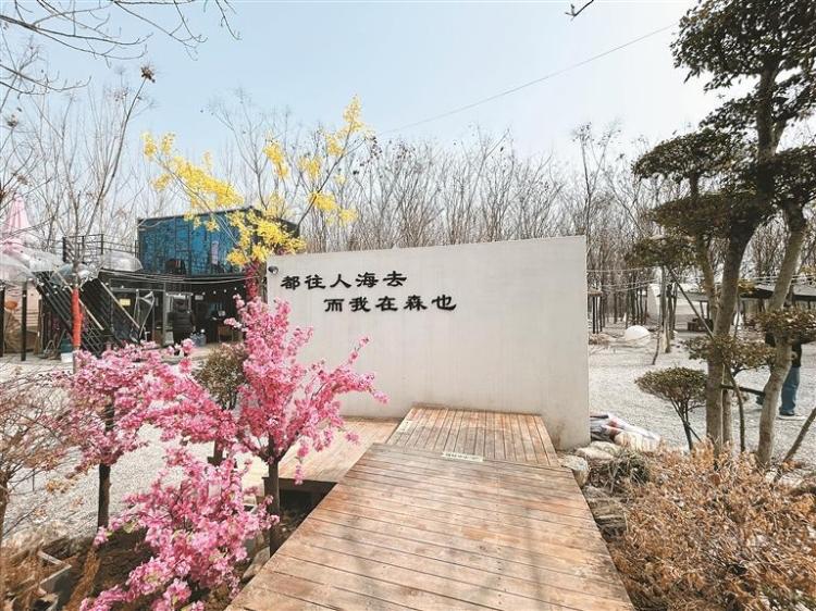 喚醒沉睡土地 繪就振興畫卷_fororder_微信圖片_20250317102250