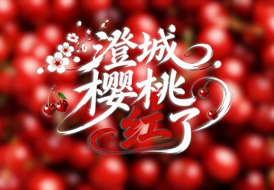 【鮮味中國·夏溢】澄城櫻桃紅了_fororder_微信圖片_20260602144235