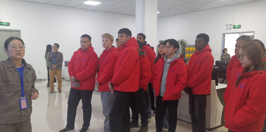 【機遇中國 共享“渭”來】國際觀察員在渭南：從“縣”出發 發現“渭”來