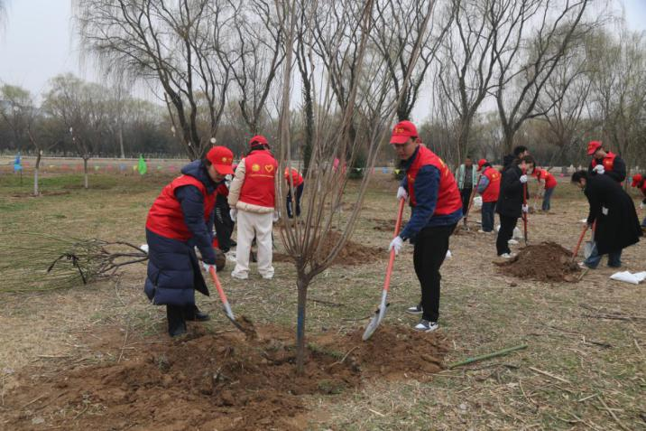 國網陜西電力：植樹添綠 共繪生態保護同心圓_fororder_圖片9