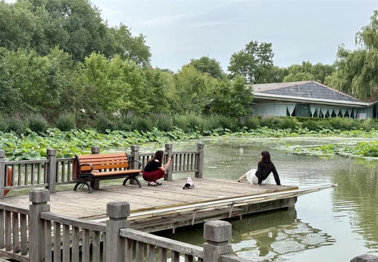 浐灞國家濕地公園生態宜人