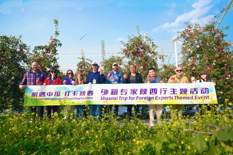 【外籍專家陜西行】鄉土中國：黃河岸邊與溝梁垣峁間的振興之路