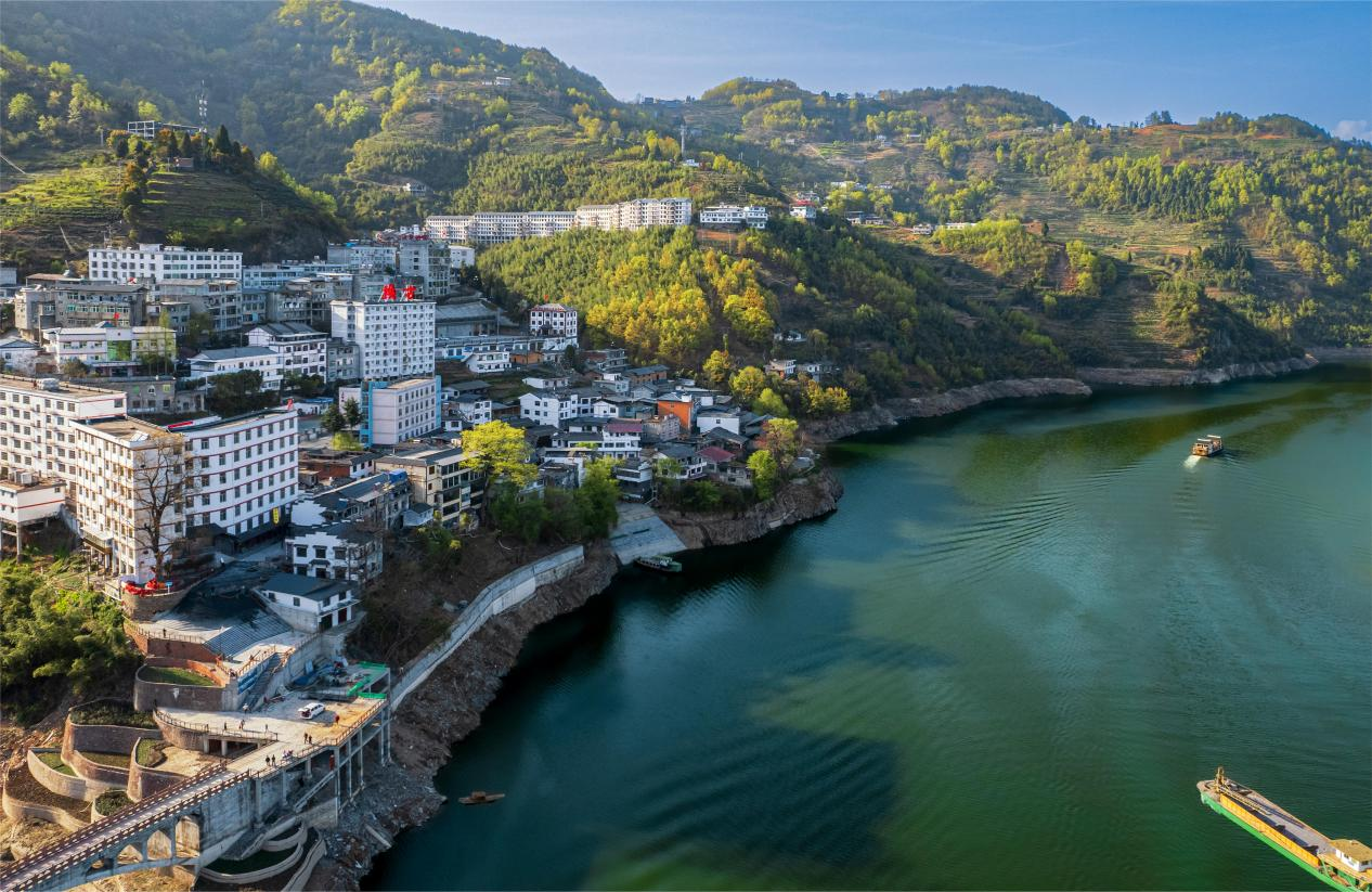 【“縣”聲奪人】秦巴深處賦新綠 安康煥古鎮以“綠”生“金”的新茶經_fororder_微信圖片_20260331135010_387_14