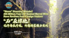 中國遊記 | “石”在驚艷！億年海底奇觀，老外強力安利_fororder_梭布埡石林封面(1)