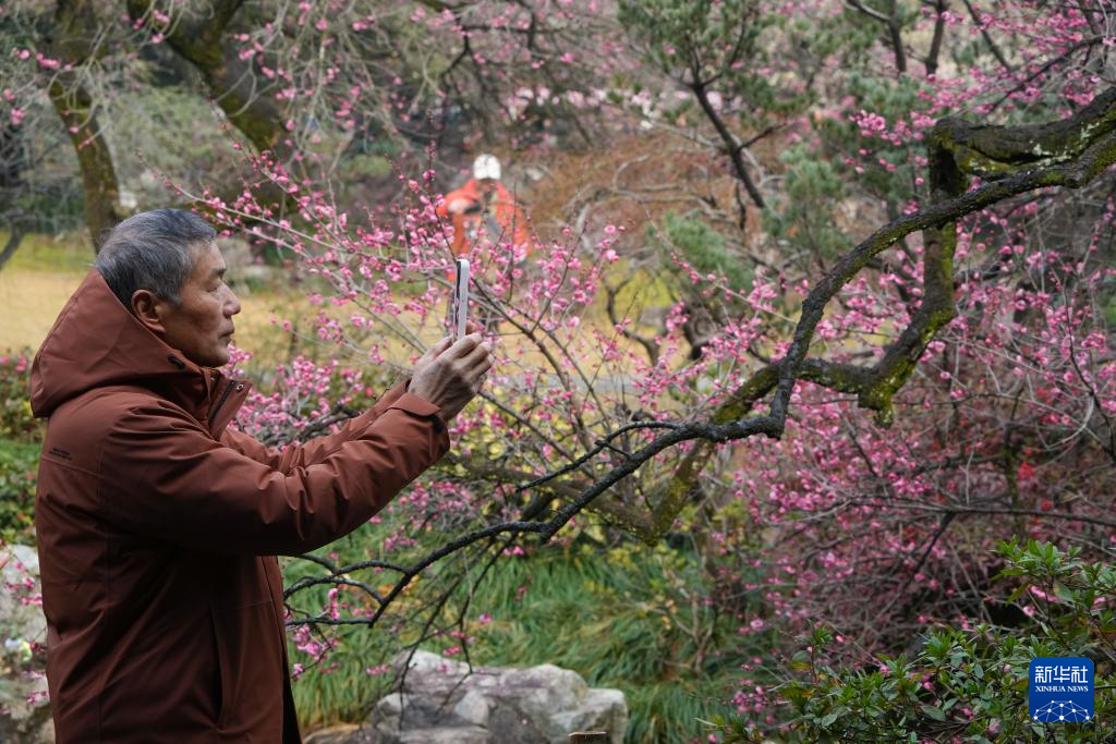 杭州：靈峰探梅