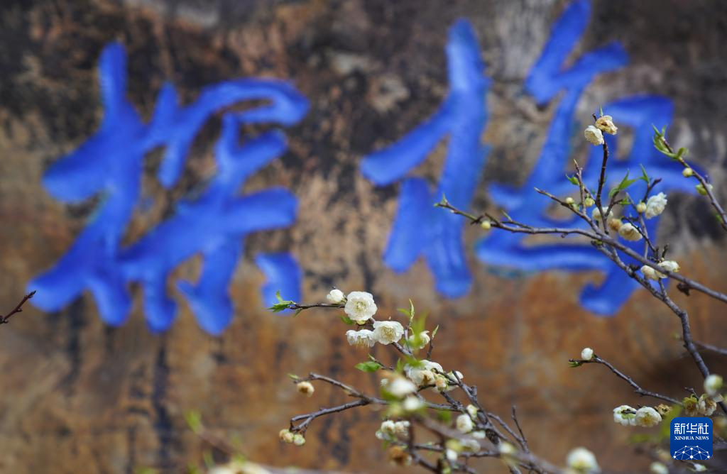 安徽黃山：鶯鳴一兩囀，花樹數重開