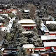 首個非遺春節巧遇立春，這些京味非遺帶你開啟春日序章