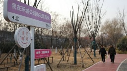 河南開封：梅花飄香古城美