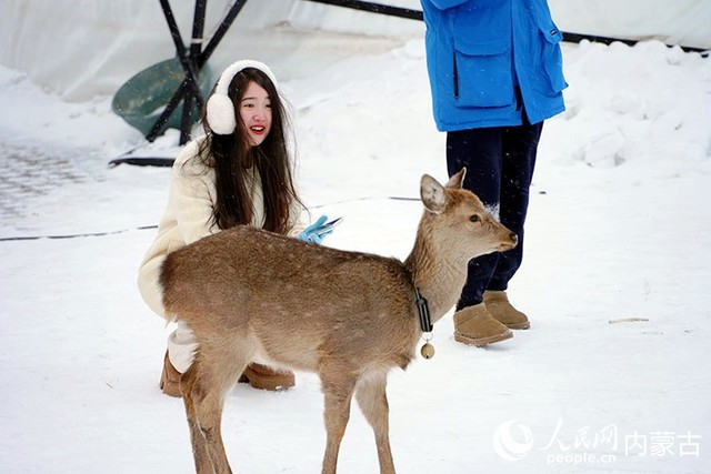 內蒙古呼倫貝爾：穿越大雪原 天天那達慕